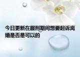 今日更新在服刑期间想要起诉离婚是否是可以的