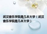 武汉音乐学院是几本大学（武汉音乐学院是几本大学）