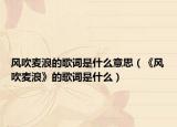 风吹麦浪的歌词是什么意思（《风吹麦浪》的歌词是什么）