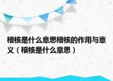 稽核是什么意思稽核的作用与意义（稽核是什么意思）