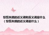 惊慌失措的近义词和反义词是什么（惊慌失措的近义词是什么）