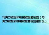 巧克力键盘和机械键盘的区别（巧克力键盘和机械键盘的区别是什么）