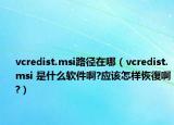 vcredist.msi路径在哪（vcredist.msi 是什么软件啊?应该怎样恢復啊?）