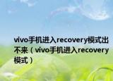 vivo手机进入recovery模式出不来（vivo手机进入recovery模式）