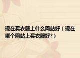 现在买衣服上什么网站好（现在哪个网站上买衣服好?）