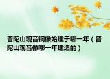 普陀山观音铜像始建于哪一年（普陀山观音像哪一年建造的）