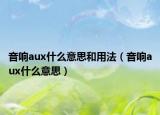 音响aux什么意思和用法（音响aux什么意思）