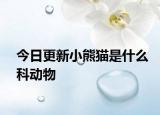 今日更新小熊猫是什么科动物