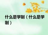 什么是学制（什么是学制）