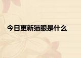 今日更新猫眼是什么