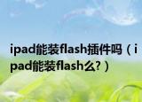 ipad能装flash插件吗（ipad能装flash么?）