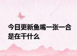 今日更新鱼嘴一张一合是在干什么