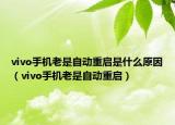 vivo手机老是自动重启是什么原因（vivo手机老是自动重启）