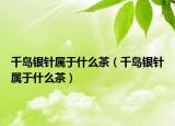 千岛银针属于什么茶（千岛银针属于什么茶）