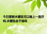 今日更新水暖毯可以晚上一直开吗,水暖毯会干燥吗
