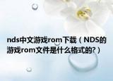 nds中文游戏rom下载（NDS的游戏rom文件是什么格式的?）