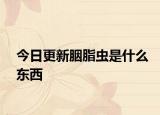 今日更新胭脂虫是什么东西
