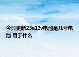 今日更新23a12v电池是几号电池 用于什么