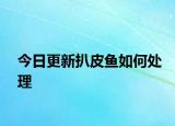 今日更新扒皮鱼如何处理