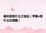 偏关县有什么大饭店（苹果x用什么处理器）