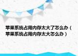 苹果系统占用内存太大了怎么办（苹果系统占用内存太大怎么办）