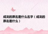 成龙的原名是什么名字（成龙的原名是什么）