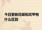 今日更新花蛤和花甲有什么区别