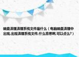 磁盘清理清理系统文件是什么（电脑磁盘清理中出现,出现清理系统文件,什么意思啊,可以点么?）