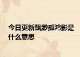 今日更新飘渺孤鸿影是什么意思