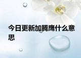 今日更新加腾鹰什么意思