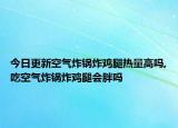 今日更新空气炸锅炸鸡腿热量高吗,吃空气炸锅炸鸡腿会胖吗