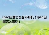 ipad白屏怎么会不开机（ipad白屏怎么修复）