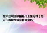 黑云压城城欲摧是什么生肖呀（黑云压城城欲摧是什么意思）