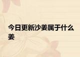 今日更新沙姜属于什么姜