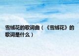 雪绒花的歌词曲（《雪绒花》的歌词是什么）