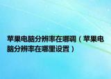 苹果电脑分辨率在哪调（苹果电脑分辨率在哪里设置）