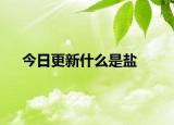 今日更新什么是盐