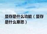显存是什么功能（显存是什么意思）