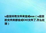 u盘里所有文件夹变成exe（u盘里的文件夹都变成EXE文件了,怎么处理）