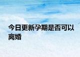 今日更新孕期是否可以离婚