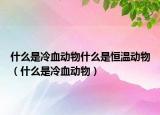 什么是冷血动物什么是恒温动物（什么是冷血动物）