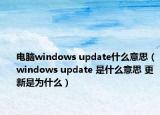 电脑windows update什么意思（windows update 是什么意思 更新是为什么）