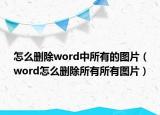 怎么删除word中所有的图片（word怎么删除所有所有图片）