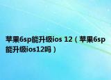 苹果6sp能升级ios 12（苹果6sp能升级ios12吗）