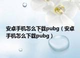 安卓手机怎么下载pubg（安卓手机怎么下载pubg）