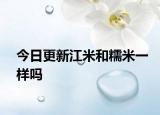 今日更新江米和糯米一样吗