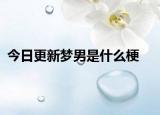 今日更新梦男是什么梗