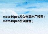 mate40pro怎么恢复出厂设置（mate40pro怎么静音）