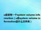 u盘里有一个system volume information（u盘system volume information是什么文件夹）
