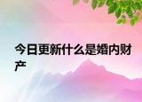 今日更新什么是婚内财产